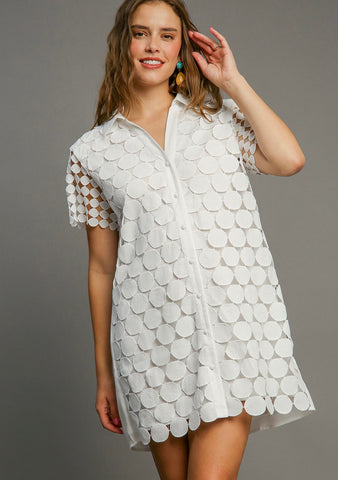 Polka Dot Lace Dress
