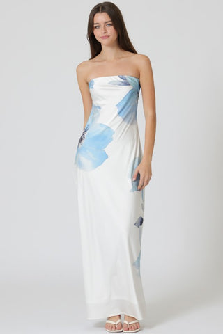 Back Chest Tie Tube Dress