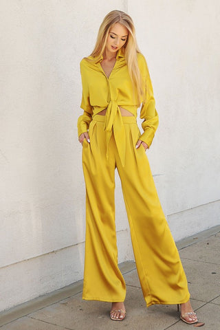 Front Pleat Wide Leg Satin Pants