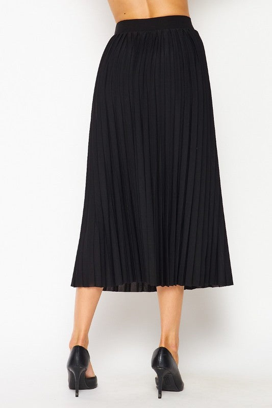 PLUS Textured Pleated Skirt with Lining
