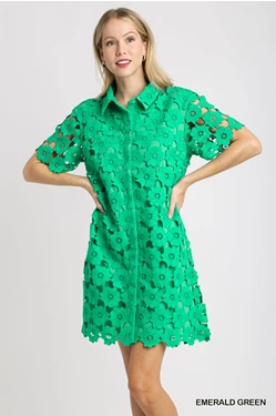 Floral Lace Button Down Collared A-Line Dress