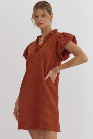 Textured short-sleeve v-neck mini dress featuring bubble sleeves.